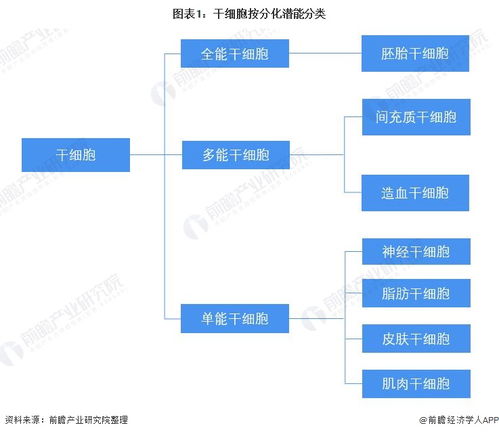 預(yù)見2022 2022年中國干細胞醫(yī)療產(chǎn)業(yè)全景圖譜 附產(chǎn)業(yè)鏈現(xiàn)狀 市場競爭格局和發(fā)展前景等
